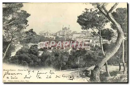 Cartes postales Monaco Monte Carlo Entre les pins