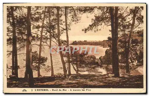 Cartes postales L Esterel Bord de Mer A Travers les Pins