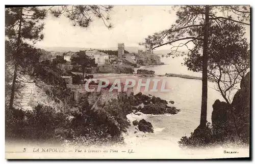 Cartes postales La Napoule Vue A Travers Les Pins