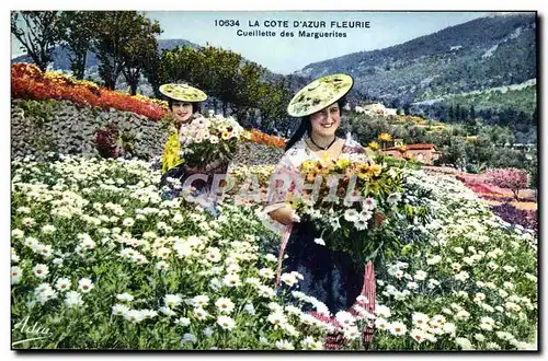 Cartes postales La Cote D Azur Fleurie Cueillette des Marguerites Femmes Folklore