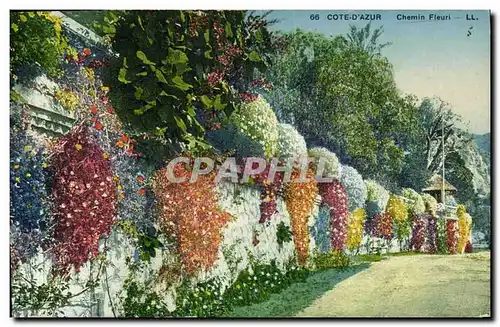 Cartes postales Cote d azur Chemin Fleuri