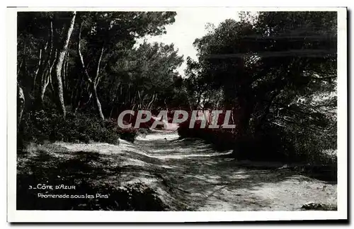 Cartes postales Cote d azur Promenade sous les pins