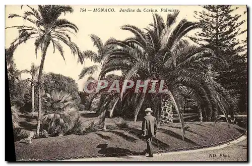 Cartes postales Monaco Jardins du Casino Palmiers