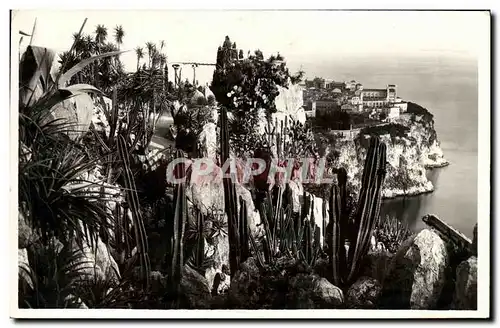 Cartes postales Monaco Les Jardins Exotiques