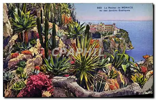 Cartes postales Monaco Jardin Exotique