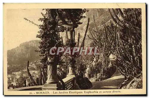 Cartes postales Monaco Les Jardins Exotiques Euphorbia et Cereus divers