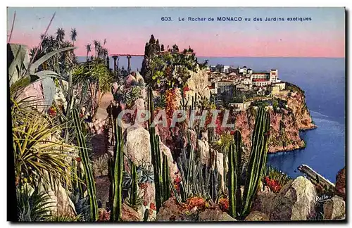 Cartes postales Monaco Les Jardins Exotiques Le Rocher