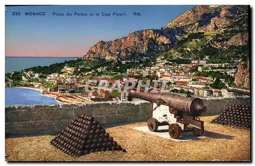 Cartes postales Monaco Place du Palais et le Cap Fleuri Canons