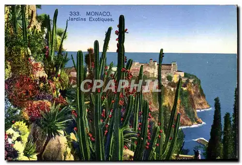 Cartes postales Monaco Jardins Exotiques