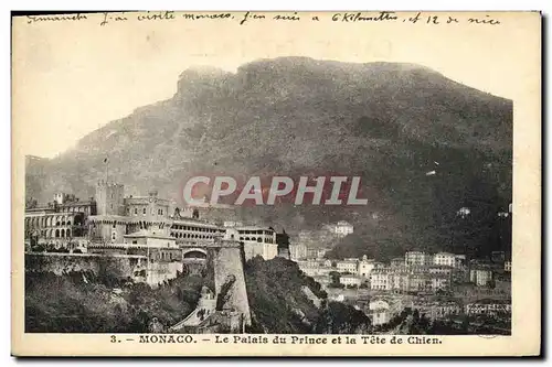 Cartes postales Monaco Le Palais du Prince et la Tete de Chien