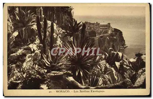 Cartes postales Monaco Les Jardins Exotiques