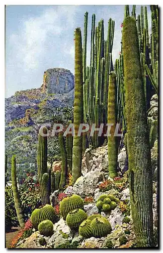 Cartes postales Monaco Jardin Exotique