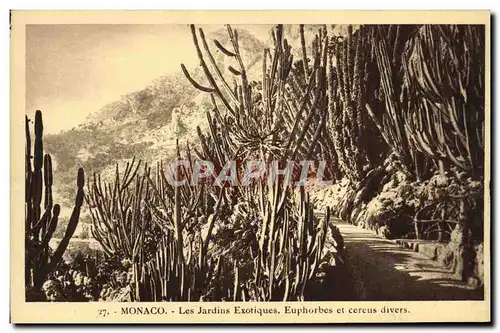 Cartes postales Monaco Les Jardins Exotiques Euphorbes et Cereus Divers