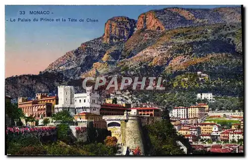 Cartes postales Monaco Le Palais du Prince et la Tete de Chien