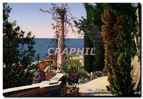 Cartes postales Monaco Principaute Les jardins exotiques