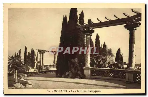 Cartes postales Monaco Les Jardins Exotiques