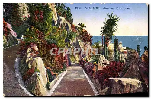 Cartes postales Monaco Les Jardins Exotiques