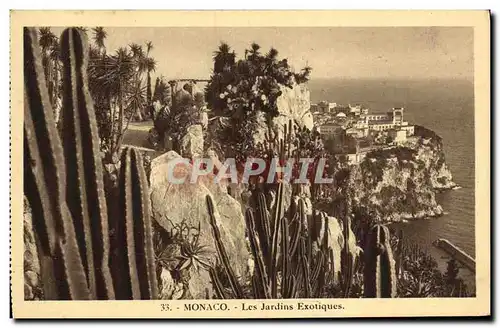 Cartes postales Monaco Les Jardins Exotiques