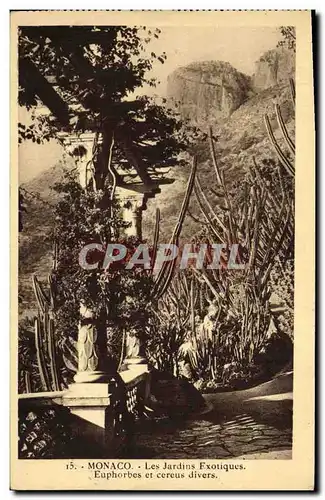 Cartes postales Monaco Les Jardins Exotiques Euphorbes et Cereus divers