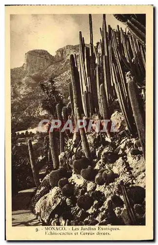 Cartes postales Monaco Les Jardins Exotiques Echinocactus e cereus divers