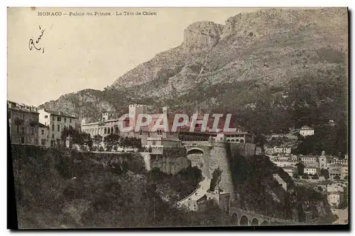 Cartes postales Monaco Palais du Prince La Tete de Chien