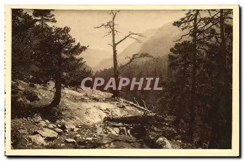 Cartes postales Cauterets Vallee du Mercadau