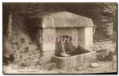 Cartes postales Jura Touriste La Faucille Fontaine Napoleon