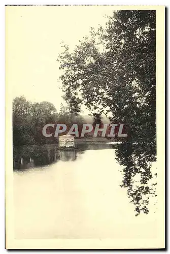 Cartes postales Chateau de Fontainebleau L Etang des Carpes