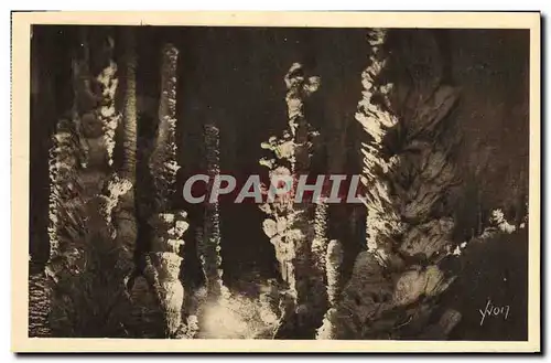 Cartes postales La Merveille Souterraine des Gorges du Tarn Aven Armand Entree de la Foret Vierge