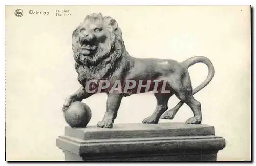 Cartes postales Waterloo Le Lion