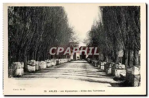 Ansichtskarte AK Arles Les Alyscamps Allee des Tombeaux