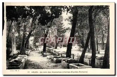 Cartes postales Arles Un Coin des Alyscamps Champs Elysees romains