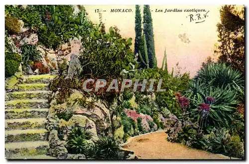 Cartes postales Monaco Le Jardins Exotiques