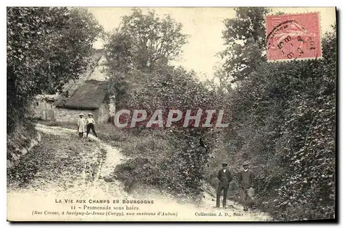 Cartes postales La Vie Aux Champs Et Bourgogne Promenade sous haies Rue Creuse a Savigny le Jeune Curgy aux envi