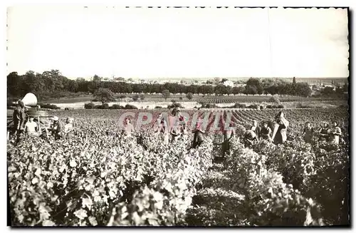 Moderne Karte Vendanges Givry Vignes