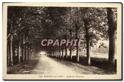 Cartes postales Nogent sur Loir Allee des Platanes