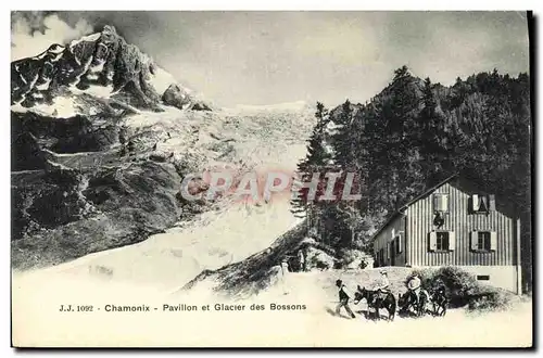 Cartes postales Chamonix Pavillon et Glacier des Bossons