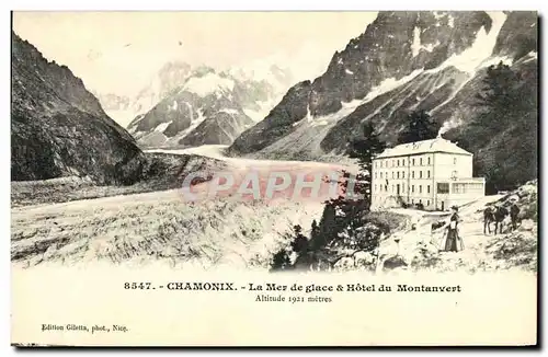 Cartes postales Chamonix La Mer de glace hotel du Montanvert