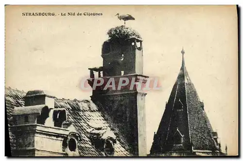 Cartes postales Cathedrale Le Nid de Cigognes