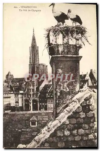 Cartes postales Strasbourg Un Nid de Cigognes