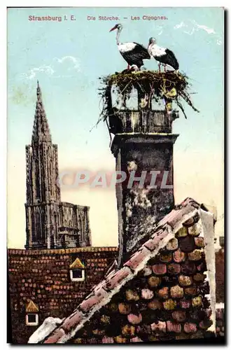 Cartes postales Strasbourg l E Die Starche Les Cigognes