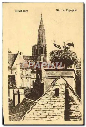 Cartes postales Strasbourg Nid de Cigognes