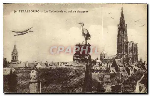 Ansichtskarte AK Strasbourg La Cathedrale et vol de cigognes