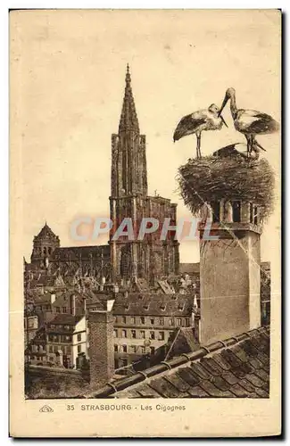 Cartes postales Strasbourg Les Cigognes