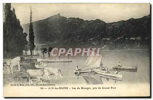 Cartes postales Aix Les Bains Le Lac Abbaye de Hautecombe Vaches