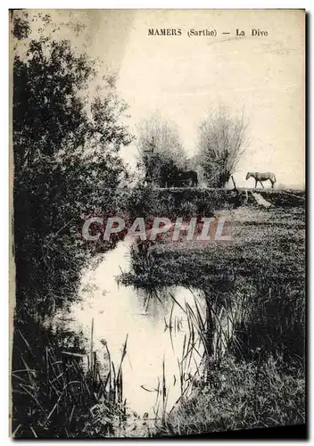 Ansichtskarte AK Mamers La Dive Chevaux