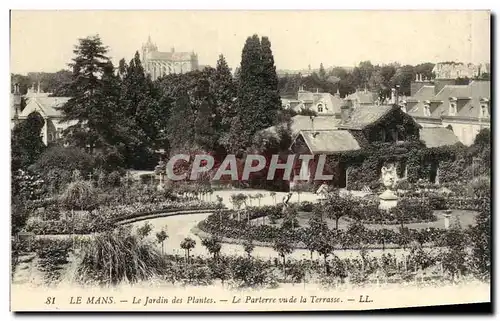 Cartes postales Le Mans Le Jardin des Plantes Le Parterre Vu de