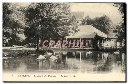 Ansichtskarte AK Le Mans Le Jardin des Plantes Le alc Cygnes