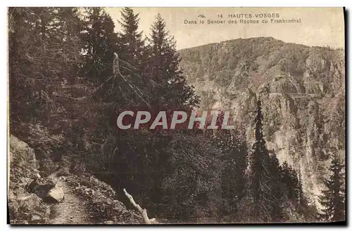 Ansichtskarte AK Hautes Vosges Dans le Sentier des Rochers du Frankenthal