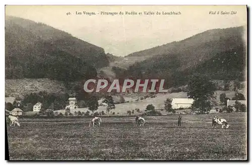 Ansichtskarte AK Les Hautes Vosges Paturages du Rudlin et Vallee du Louchbach Vaches